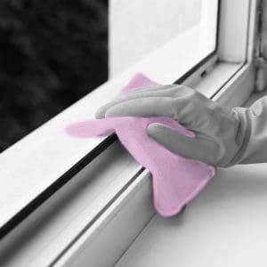 Famously Clean cleaning a window screen in Orlando - Lake Eola Heights